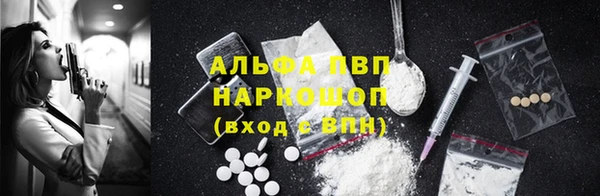 apvp Богданович