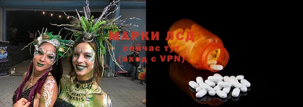 apvp Богданович