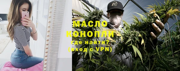 МДПВ Богородск